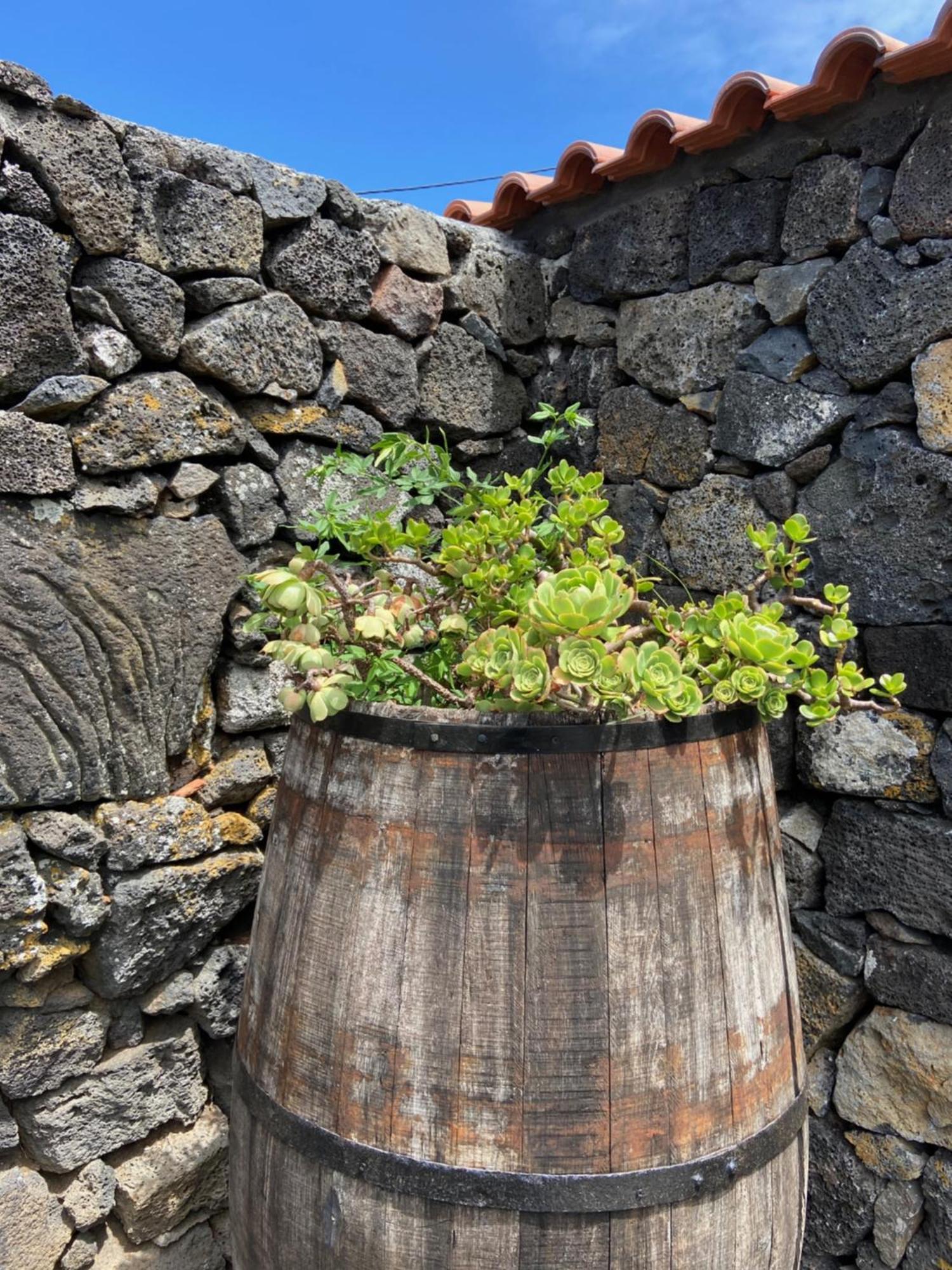 Adega Do Fogo Villa São Roque do Pico Exterior foto